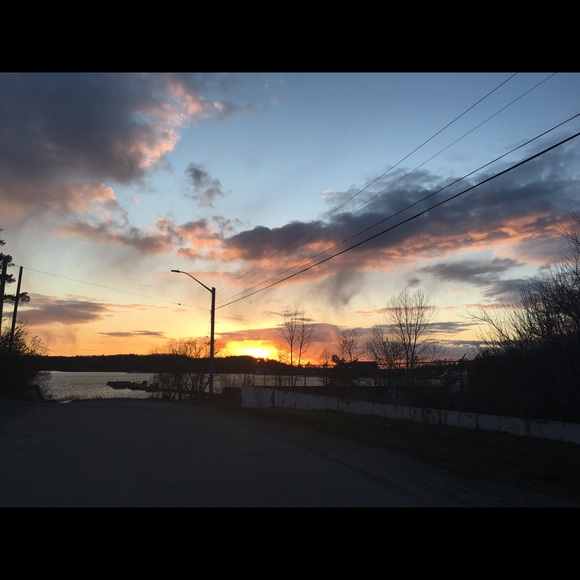 Meet your Posher, Akacia - Picture 2 of 2